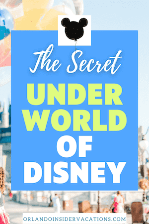 The Secret Underworld of Disney