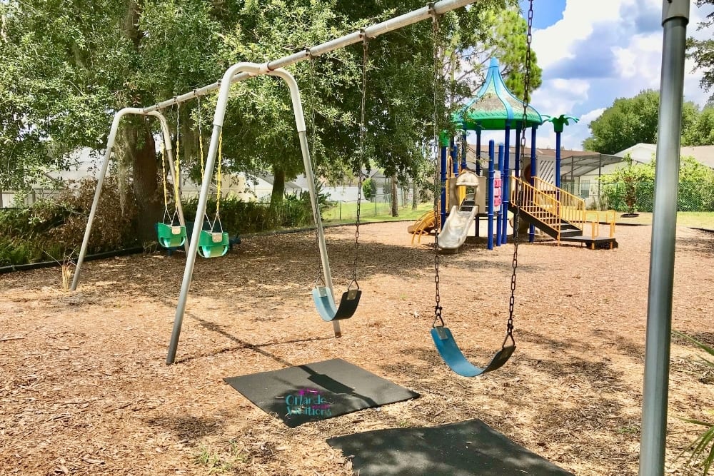 Indian Creek Swings