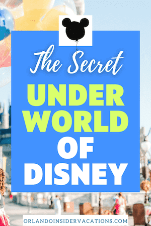 The-Secret-Underworld-of-Disney-Utilidoors-Pin 2